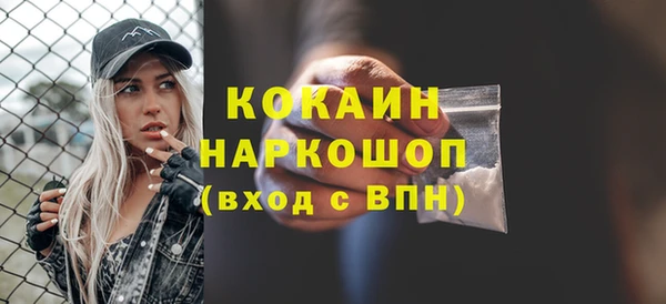 Альфа ПВП Верея