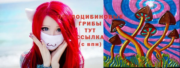 Альфа ПВП Верея